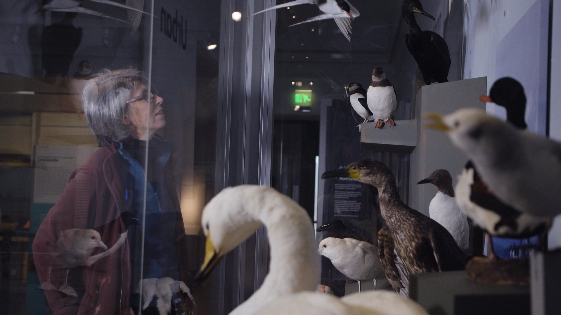 Museums, galleries & heritage